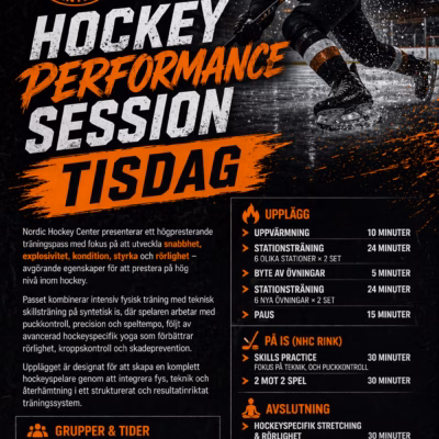 Hockey Performance Session - "Tisdag"